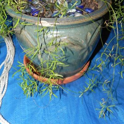 LOT 116 MACROMIA PLANT HANGERS & POTTED PLANT