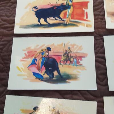 Collection of Mexican Bull Fight Art Postcards