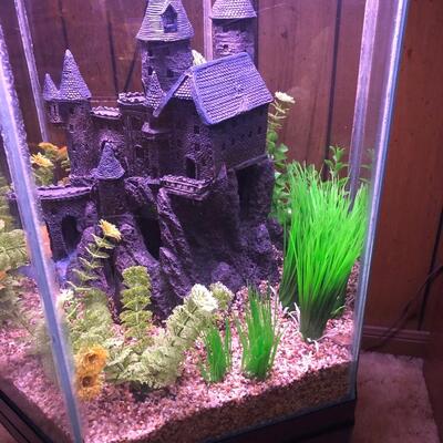 55 gallon hexagon Aquarium