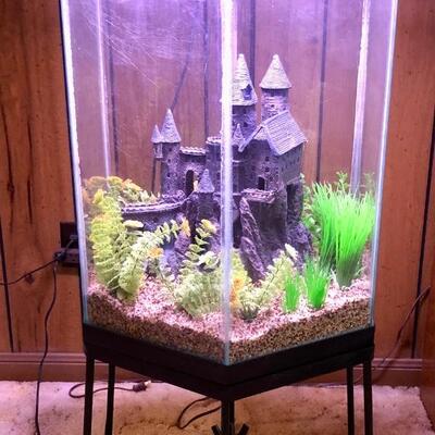 55 gallon hexagon Aquarium