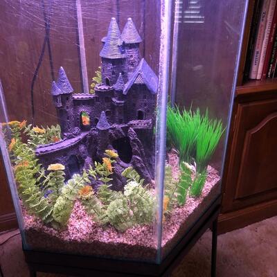 55 gallon hexagon Aquarium