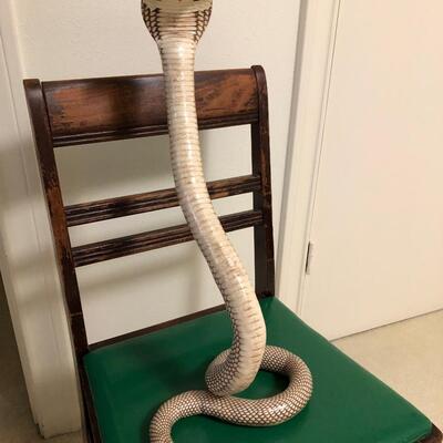 Real huge Taxidermy Cobra