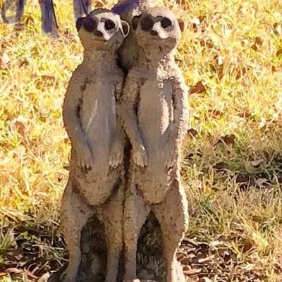 Meerkat statue