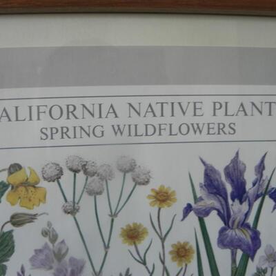 LOT 131 FRAMED PRINT "CALIFORNIA NATIVE PLANT SOCIETY"