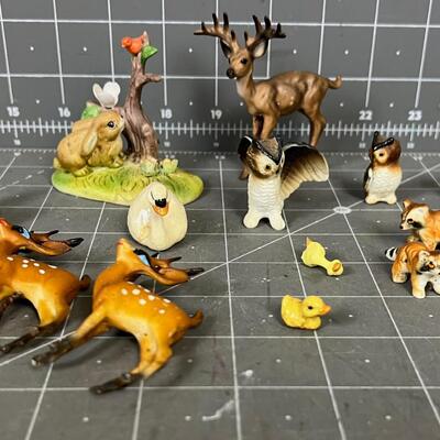 Magic Ceramic and Plastic Terrarium Animals 