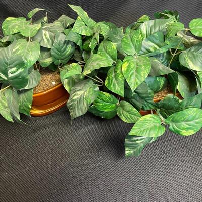 2 faux plants