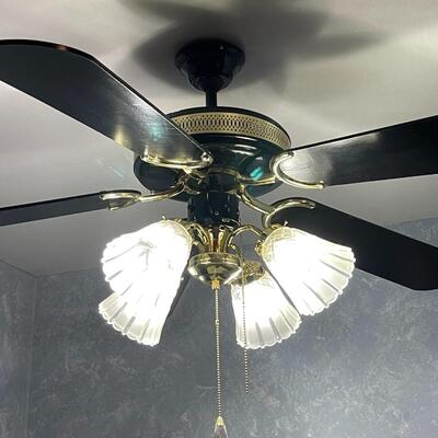 Ceiling fan/light