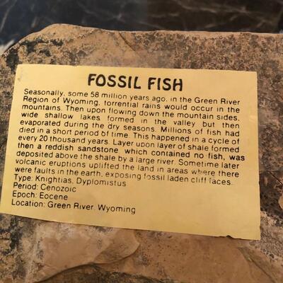 Fossil fish