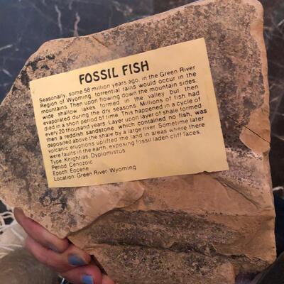 Fossil fish