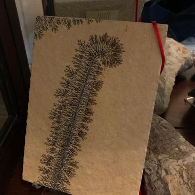 Dendrites fossil in limestone