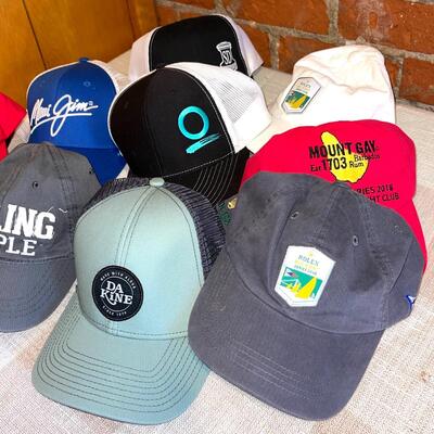 Lot 201 Group 9 Baseball Style Caps Travel & Sports Related 9 pcs