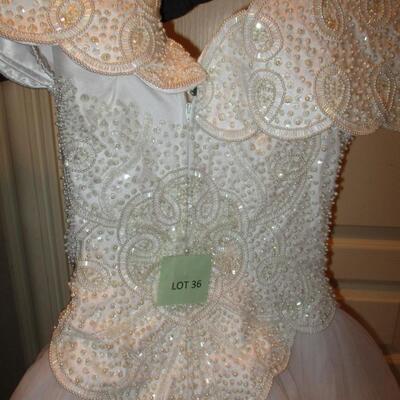 Wedding Dress & Veil