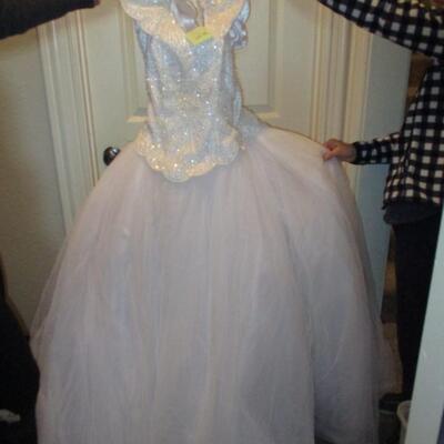 Wedding Dress & Veil