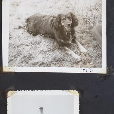 1949 Hazelton PA photo album