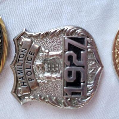 12 Challenge Pins