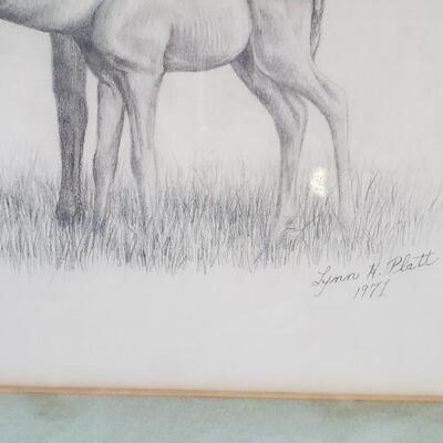 Three original pencil drawing of horse and Foal