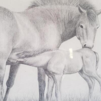 Three original pencil drawing of horse and Foal