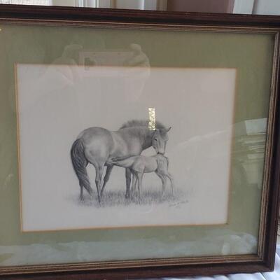 Three original pencil drawing of horse and Foal