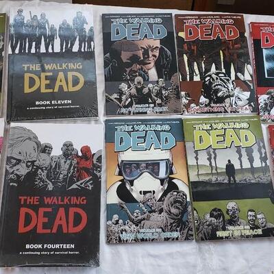 Walking Dead books Lot
