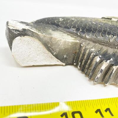VINTAGE GRAIN BELT BEER FISH DECOR