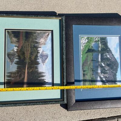 Nature Artwork