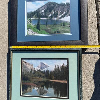 Nature Artwork