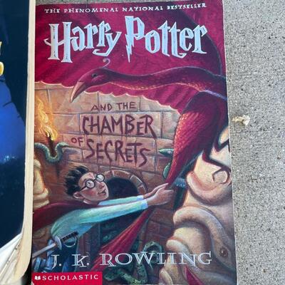 Harry Potter and Lord of the Rings Books