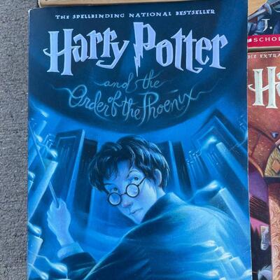 Harry Potter and Lord of the Rings Books