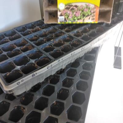 LOT 77 FERRRY MORSE GROW LIGHT, SEEDS, AND STARTING POTS