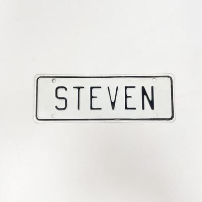 â€œSTEVENâ€ MINI METAL LICENSE PLATE