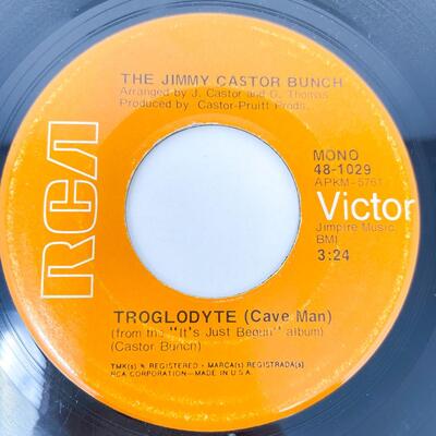 45 RPM THE JIMMY CASTOR BUNCH 48-1029 "TROGLODYTE/I PROMISE TO REMEMBER" VINYL RECORD SINGLE