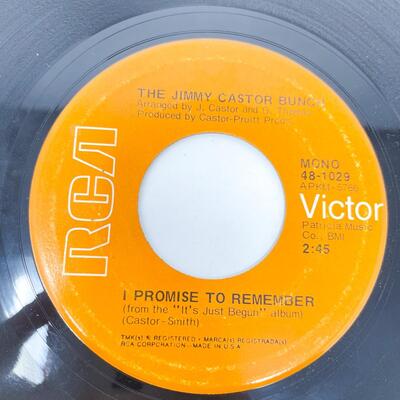 45 RPM THE JIMMY CASTOR BUNCH 48-1029 "TROGLODYTE/I PROMISE TO REMEMBER" VINYL RECORD SINGLE