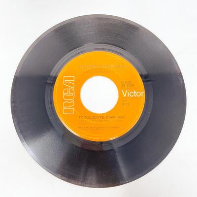 45 RPM THE JIMMY CASTOR BUNCH 48-1029 "TROGLODYTE/I PROMISE TO REMEMBER" VINYL RECORD SINGLE