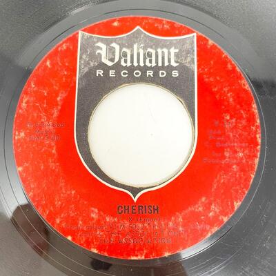 45 RPM THE ASSOCIATION V-747 "DON'T BLAME IT ON ME/CHERISH" VINYL RECORD SINGLE