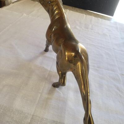 brass bull 15 x 8