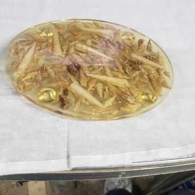 platter shells in plastic 10 by 8