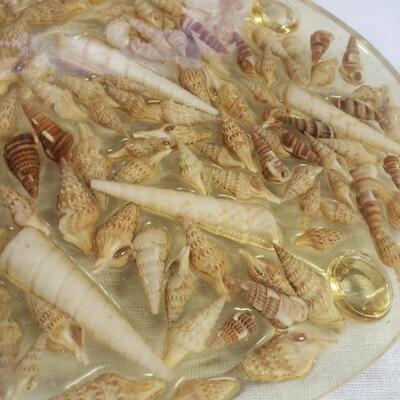 platter shells in plastic 10 by 8