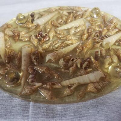 platter shells in plastic 10 by 8