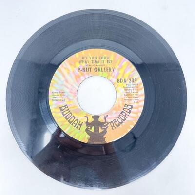 45 RPM P-NUT GALLERY BDA239 â€œDO YOU KNOW WHAT TIME IT IS?/WELCOME BACK TO DOOTIEVILLEâ€ VINYL RECORD SINGLE