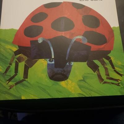 The grouchy ladybug 1977 book children's