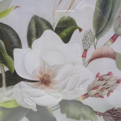 Framed & Signed Magnolia Print By Barbara Louque