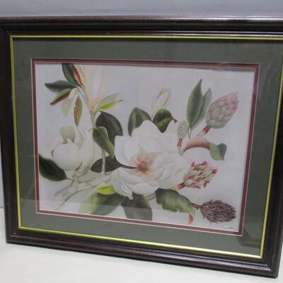 Framed & Signed Magnolia Print By Barbara Louque