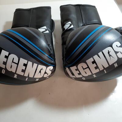 Legends 14oz Boxing gloves