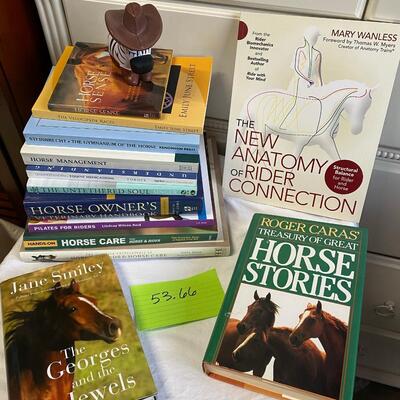 Horse books and rubber horse