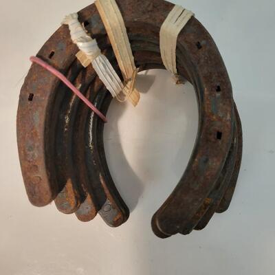 6 old horseshoes