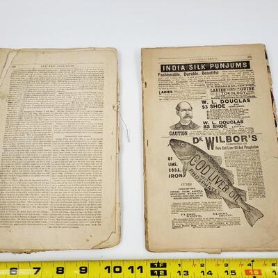 1896 PETERSONS LADIES NATIONAL MAGAZINE