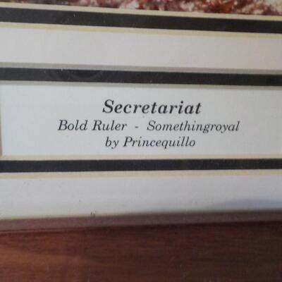 Secretariat Photo Art  " The Bold Ruler".