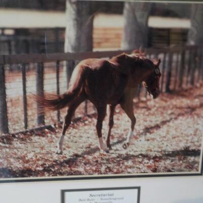 Secretariat Photo Art  " The Bold Ruler".
