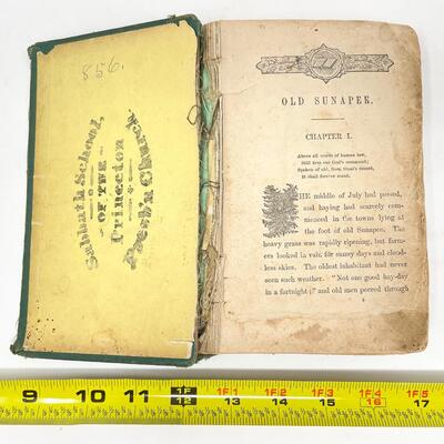 ANTIQUE BOOK â€œOLD SUNAPEEâ€