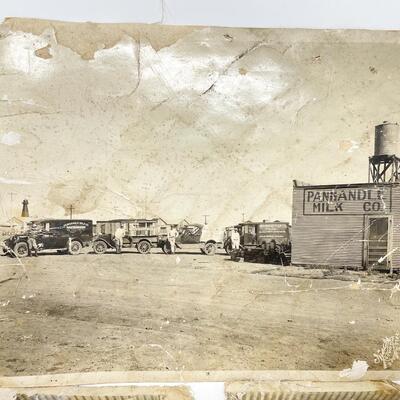 LARGE ANTIQUE PHOTOGRAPHS OF PANHANDLE MILK COMPANY & COWS